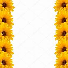 cornice di fiori cornice di fiori gialli foto stock 169 jekaterina k 27958435 cornice di fiori cornice di fiori gialli foto stock 169 jekaterina k 27958435