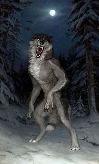 Image result for Werewolf Folklore