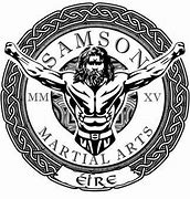 Image result for Samson Mixed Martial Arts