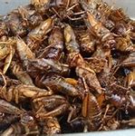 Image result for Deep Fried Crickets