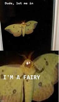 Image result for Crying Fairy Meme