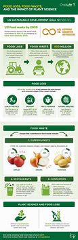 Image result for Food Waste Infographic