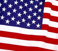 Image result for United States America Flag