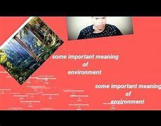 Image result for Environment Meaning