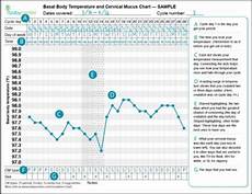 Sample Bbt Chart Babycenter