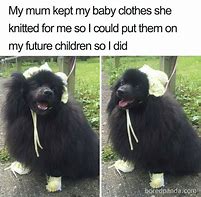 Image result for Kids with Pets Meme