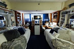 Image result for Triple Dorm Layouts