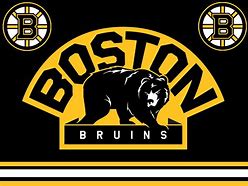 Image result for Bruins Logo