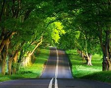 Image result for 3D HD Nature