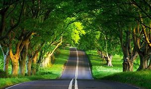 Image result for 3D Nature Wallpaper Download