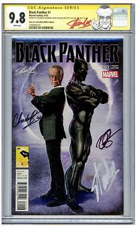 Image result for Black Panther Comic Book 1
