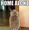 Image result for Cute Cat Love You Meme