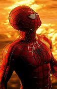 Image result for Gracias Sam Raimi Spider-Man Meme