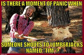 Image result for Timber Meme