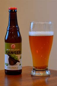 Image result for VR New Belgium IPA