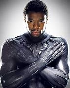 Image result for Black Panther BB