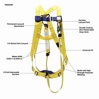Image result for Parts of a Safety Harness