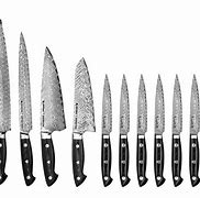 Image result for Victorinox Chef Knife Set