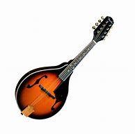 Image result for Picture of a Mandolin