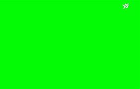 Image result for Ytv Screen Bug Green