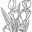Image result for Tulips Enthusiast