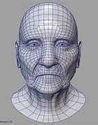 Image result for Old Woman Face Topology