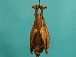 Image result for Humanoid Bat Creature