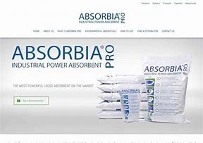 Image result for absirbible