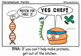 Image result for Recombinant DNA Meme