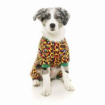 Image result for Kids Doggo Pajamas