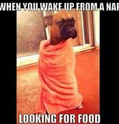Image result for Unexcpeted Nap Meme