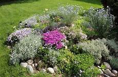 creare un giardino roccioso come costruire un giardino roccioso giardini orientali creare un giardino roccioso come costruire un giardino roccioso giardini orientali