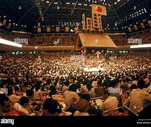 Image result for Sumo Wrestling Ring