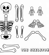 Image result for Life-Size Printable Skeleton