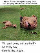 Image result for Existential Dread Face Meme