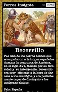 Image result for becerrillo