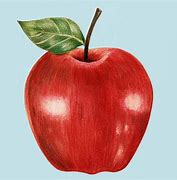 Image result for Macro Illustration of an Apple