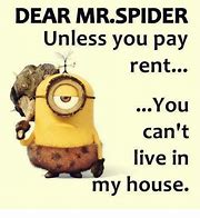 Image result for Spider Paying Rent Meme