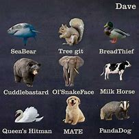 Image result for Funny Names for New Things