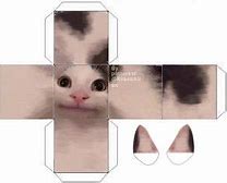Image result for Gato Para Armar Meme