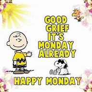 Image result for Happy Monday Meme Peanuts Baseball