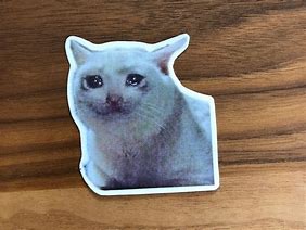 Image result for Cursed Cat Meme Stickers