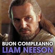 Image result for Happy Birthday Liam Neeson Meme