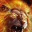 Image result for Lion iPhone Walpaper