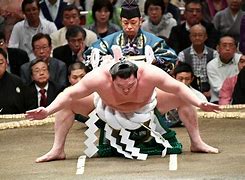 Image result for Sumo Wrestling Match in Japan in Portrait
