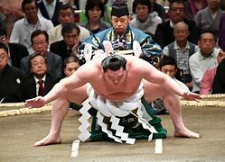 Image result for Sumo