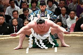 Image result for Tokyo Sumo