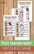 Image result for Human Body Games for Kids