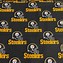 Image result for Pittsburgh Steelers Car Accessories