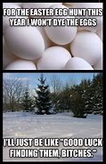Image result for Freeze Your Eggs Meme